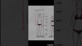 Proportions part1.. how to draw god-tier figures #howto #howtodraw #tutorial