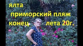 ялта приморский пляж конец лета 20г