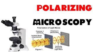 Polarizing microscopy