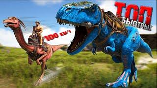 ТОП 50 Самых Быстрых Наземных Существ в ARK: Survival Evolved I Гайд по скорости