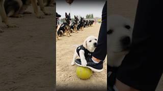 Get out for a sec , no training but rolling joy !