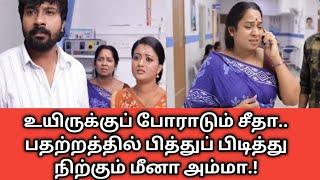 உயிருக்கு போராடும் சீதா பித்து பிடித்து நிற்கும் மீனா அம்மா