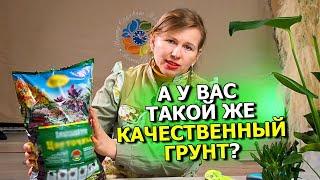 Грунт для цветов. Как правильно выбрать? Цветочный грунт.