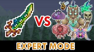 Terraria 1.4 - Terra Blade vs ALL Bosses (Expert Mode)