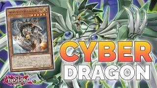 NEW CYBER DRAGON SUPPORT!!! INSANE NEW Alliance Support Cards! Yu-Gi-Oh!