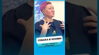 Что собака говорит о характере хозяина ?