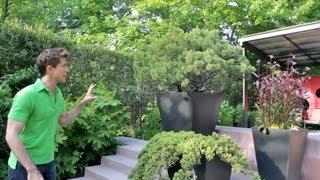 Empty lot transformed into a massive garden - Urban Gardener video