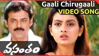 Gaali Chirugaali Video Song || Vasantam Movie || Venkatesh Kalyani || shalimarcinema