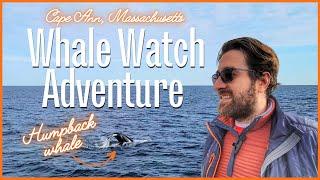 Whale Watching in Gloucester, MA | Tracking a Humpback Whale + Atlantic White-Sided Dolphins