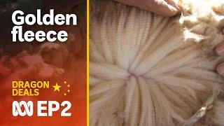 The Golden Fleece – China’s love affair with Australian wool | Dragon Deals Ep2 | ABC Australia