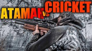 ОБЗОР И СРАВНЕНИЕ PCP-ВИНТОВОК АТАМАН И CRICKET