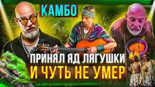 Камбо, рапэ, сананга - пробую на себе амазонскую медицину