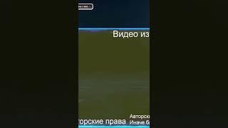 ЗИО о Гелике