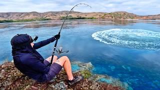 Crazy Rip Current Fishing: Landing Huge Saltwater Monsters in Paradise!