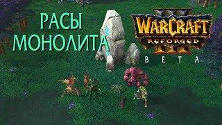 Warcraft 3 Reforged Beta / Карта Монолит, демонстрация Ашенвальских рас и их моделей