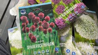 Аллиум или декоративный лук  обзор покупок для посадки 🟣 Allium bulbs haul +SUB