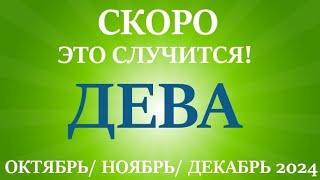 ДЕВА таро прогноз на ОКТЯБРЬ, НОЯБРЬ, ДЕКАБРЬ 2024 4 триместр года! Главные события периода!