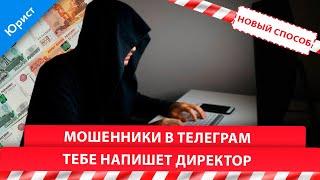 МОШЕННИКИ в Телеграм. Новый способ -тебе напишет директор