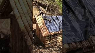 Building a Log Cabin part 10/15 #survival #bushcraft #outdoor