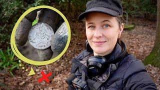 Metal Detecting SILVER and Surprises from this Trashy Park!