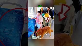 The Passenger She Never Noticed in the Metro || What Woke Her Up #short #dog #viralvideo