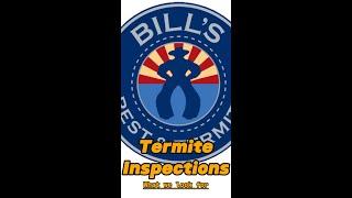 What does a termite inspection look like?