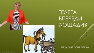 Замуж за иностранца, как не запрячь телегу впереди лошади?// С любовью из Флориды