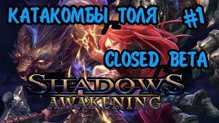 КАТАКОМБЫ ТОЛЯ | SHADOWS AWAKENING - ПРОХОЖДЕНИЕ CLOSED BETA