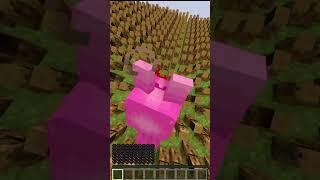 Can an Sprunki Horror Pinki Conquer 999 Levels of Madness? #minecraft #PoppyPlaytime #mems