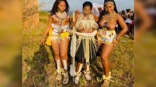 Queen Of Zulu Culture Singing About South Africa Very Nice Song