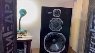 Новый проект Yamaha NS-1000X II 1 Часть II In Audio