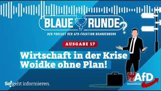 Wirtschaft in der Krise - Woidke ohne Plan! | Die Blaue Runde, Ausgabe 17