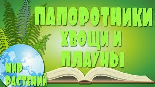 Папоротники хвощи и плауны. Высшие споровые растения