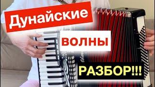 Дунайские Волны - Разбор как играть с нуля на Аккордеоне - Бесплатный урок Аккордеона