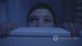 The Hollow Below A Chilling Tik Tok Discovery