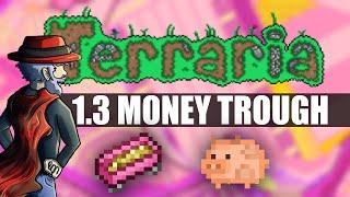 Money Trough Terraria 1.3 item - AMAZING NEW ADDITION (Terraria item Showcase)