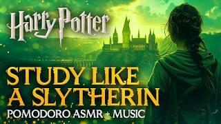  Harry Potter Pomodoro ️ A Very Slytherin Day | Hogwarts Study Session with Radio, Timer & ASMR