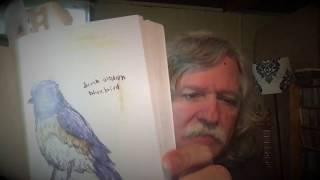 Saturday Night Stories: The Field Guide to Dumb Birds of North America
