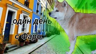 ОДИН ДЕНЬ С ФАРО  в жизни а в видео произошло... 