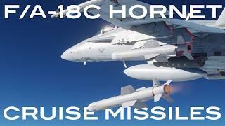 DCS F/A-18C - AGM-84D / E / H/K Harpoon, SLAM, SLAM-ER