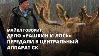 Дело «Рашкин и лось» передали в центральный аппарат СК. Майкл говорит