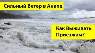 Погода в Анапе ЗИМОЙ 2020 - правда или миф про УЖАСНЫЙ ВЕТЕР В Анапе?