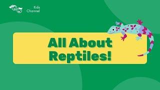 Radiant Reptiles | Animal Science Education Videos for Kids