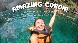 CORON SOLO TRAVEL: SUPER ULTIMATE TOUR; BARRACUDA LAKE, TWIN LAGOON, SKELETON SHIPWRECK, REEF GARDEN