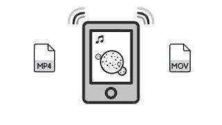 Learn Something: The Very Basics of Digital Video