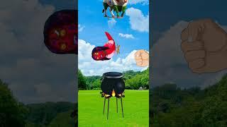 Only Hilal Animal #shortvideos #virlshort