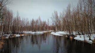 ЖДАЛИ, ИСКАЛИ И ВЕСЕННЯЯ РЫБКА ПОДОШЛА! ВОТ И ОТКРЫТА ЛЕТНЯЯ РЫБАЛКА, ПОПЛАВОК КАК ВСЕГДА ЛОВИТ)!