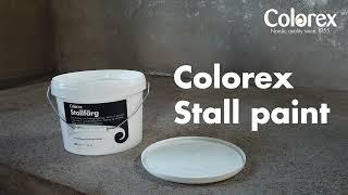 Colorex Stall paint - matte paint for painting the interiors of stables and warehouses