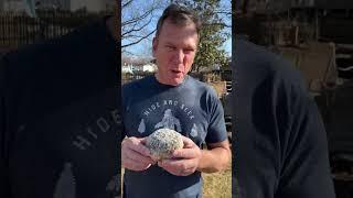 Day 1 of 31 Days of Possible GEODES #rocks #shorts #geodes