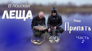 В поисках леща.  Река Припять часть 2